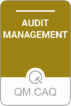 audit management